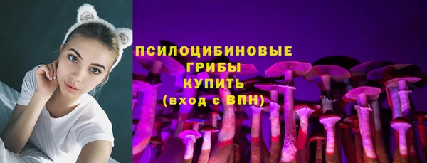 jwh Богородск