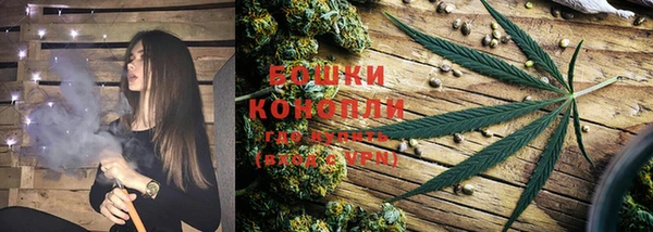 шишки Беломорск