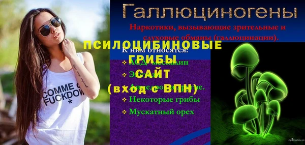 синтетический гашиш Богородицк