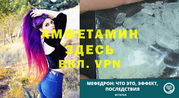 шишки Беломорск