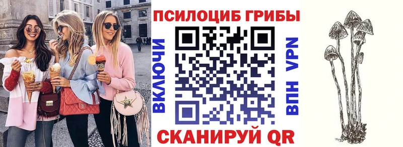 Галлюциногенные грибы прущие грибы  где продают наркотики  Тамбов 