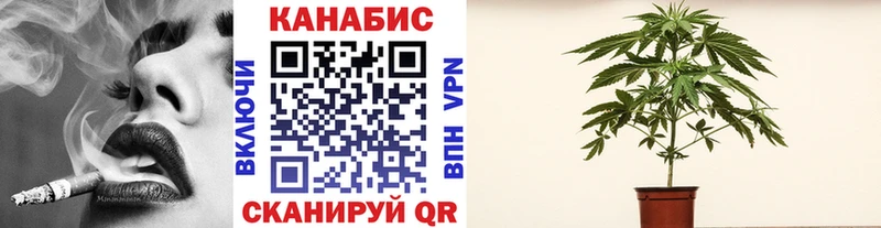 Шишки марихуана индика  Тамбов 